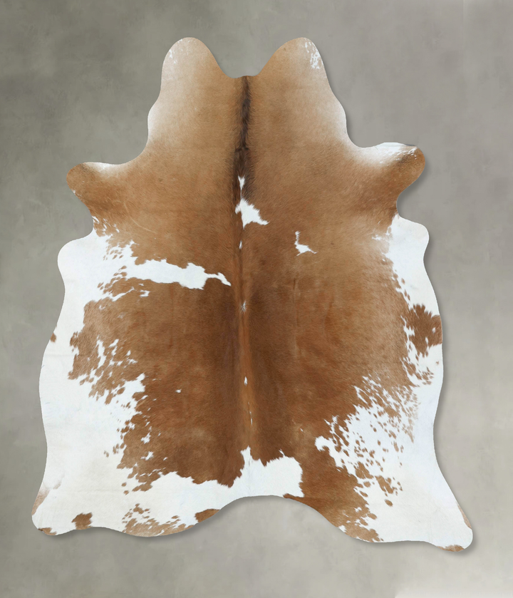 Brown and White X-Large Brazilian Cowhide Rug 6'10"H x 6'1"W #B18630 by Hudson Hides