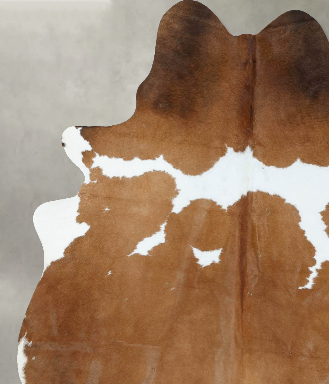Brown and White Large Brazilian Cowhide Rug 7'1"H x 5'7"W #B18635 by H