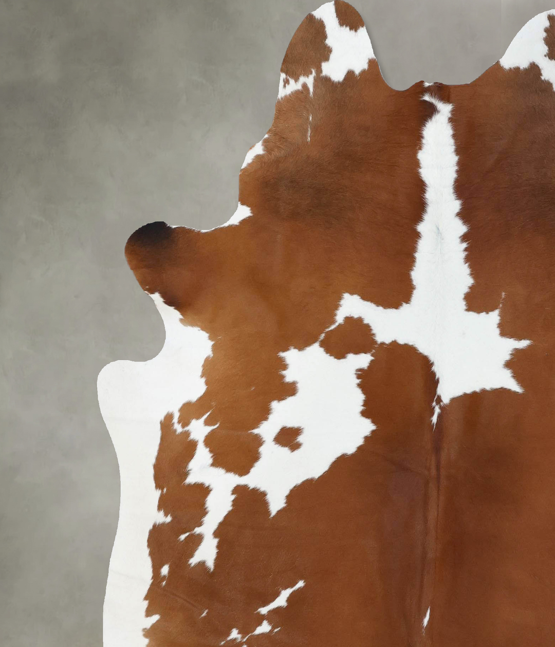 Brown and White X-Large Brazilian Cowhide Rug 6'11"H x 6'1"W #B18640 b