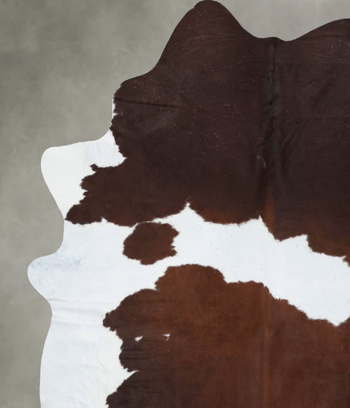 Brown and White XX-Large Brazilian Cowhide Rug 7'11"H x 6'7"W #B18642 by Hudson Hides