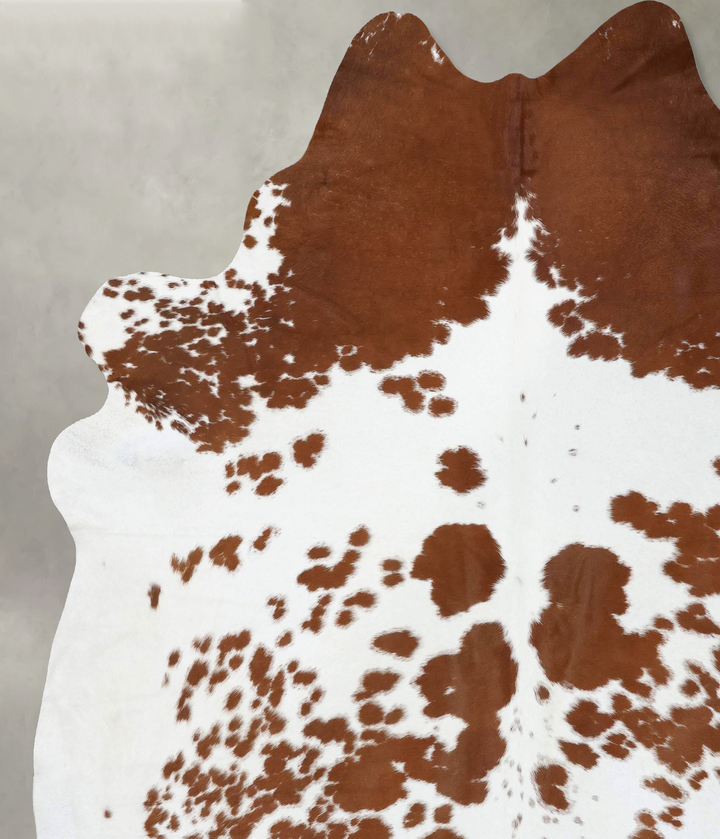 Brown and White XX-Large Brazilian Cowhide Rug 8'9"H x 7'6"W #B18645 by Hudson Hides