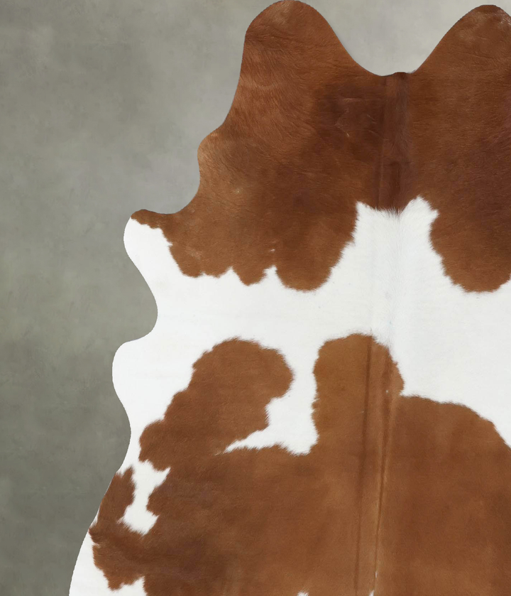 Brown and White Large Brazilian Cowhide Rug 6'2"H x 5'7"W #B18648 by Hudson Hides