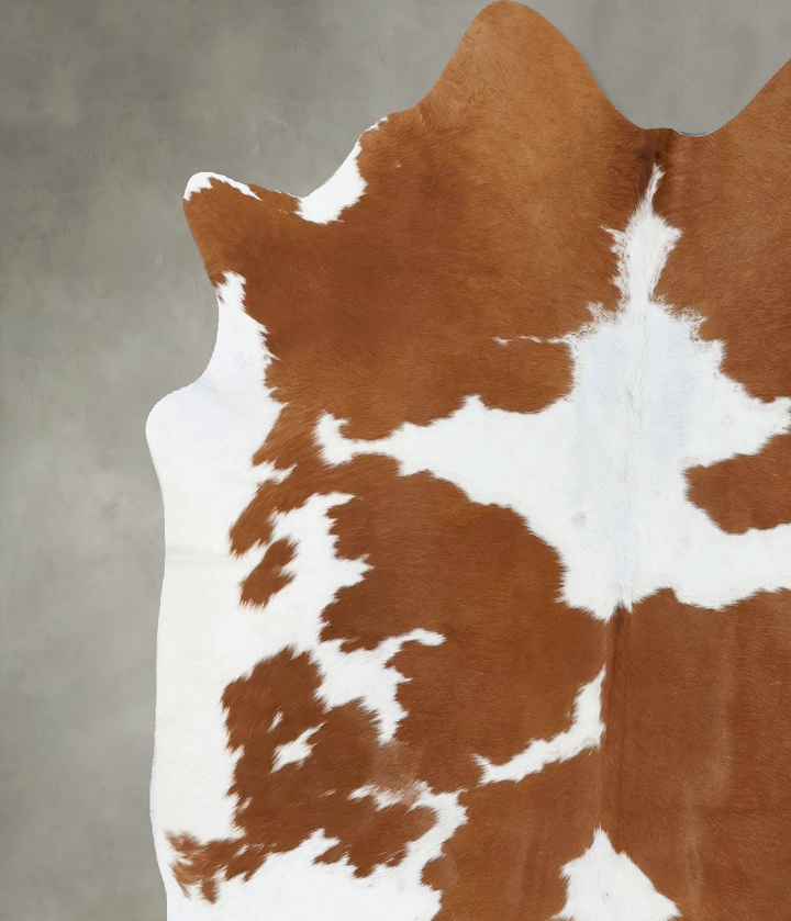 Brown and White Large Brazilian Cowhide Rug 6'1"H x 5'8"W #B18652 by Hudson Hides
