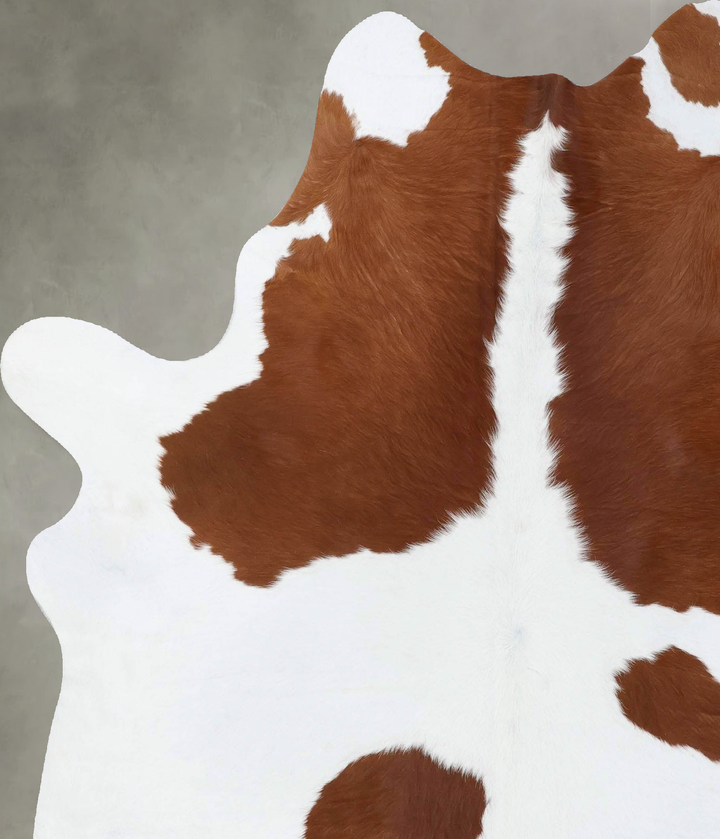 Brown and White X-Large Brazilian Cowhide Rug 7'0"H x 6'1"W #B18659 by Hudson Hides