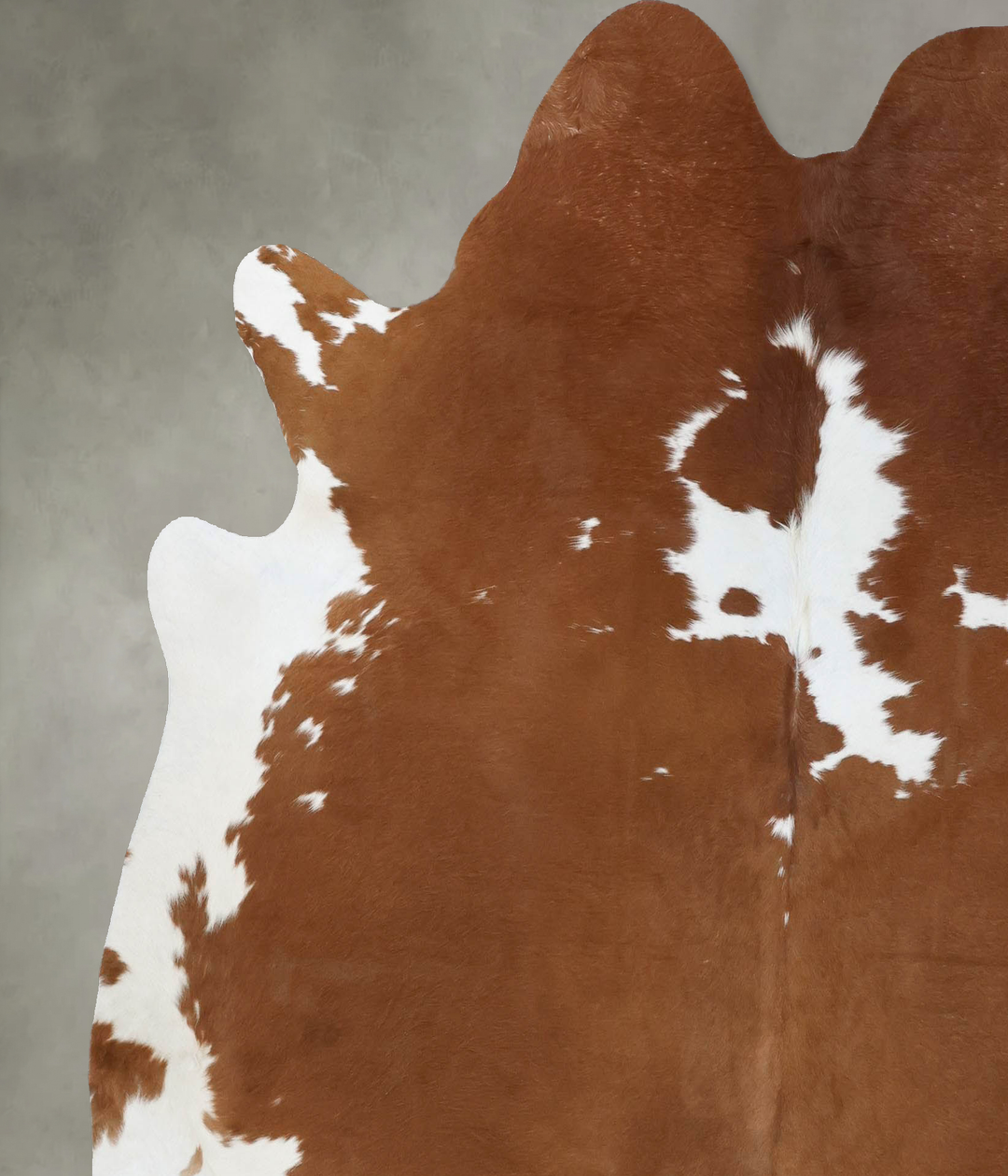 Brown and White X-Large Brazilian Cowhide Rug 6'11"H x 6'6"W #B18661 b