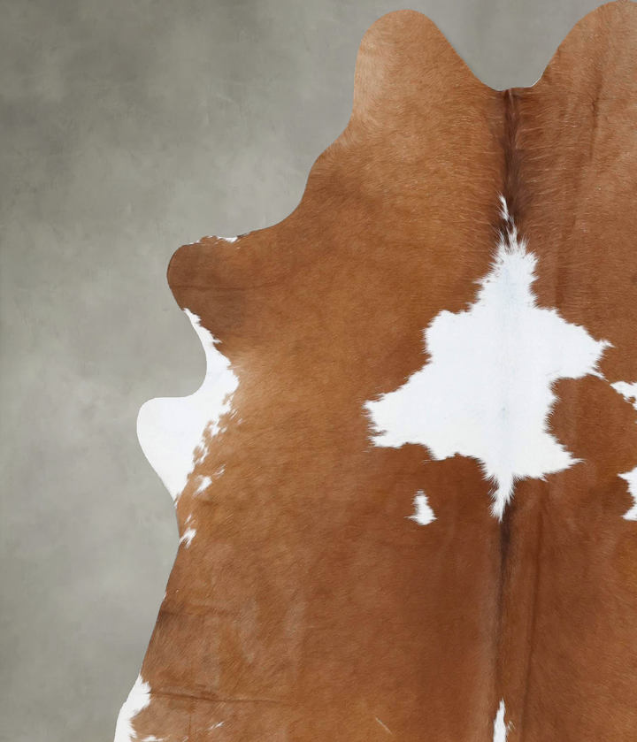 Brown and White X-Large Brazilian Cowhide Rug 7'3"H x 6'1"W #B18663 by Hudson Hides