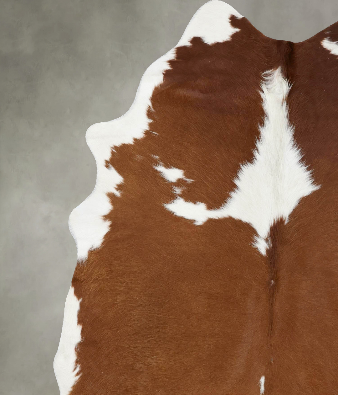 Brown and White X-Large Brazilian Cowhide Rug 7'5"H x 5'11"W #B18665 b