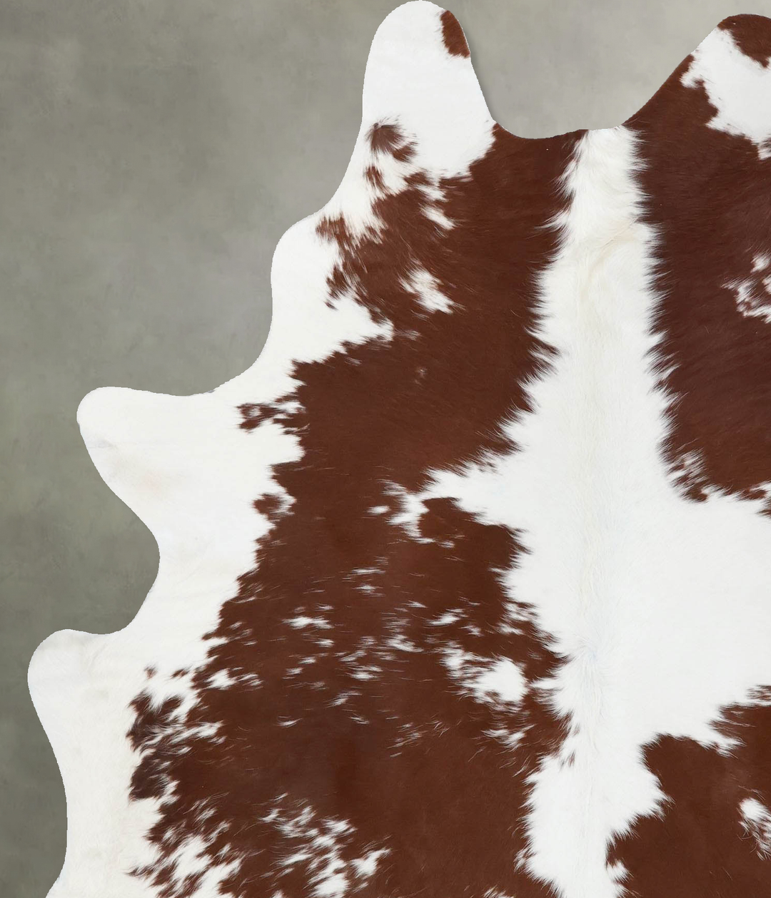 Brown and White X-Large Brazilian Cowhide Rug 7'0"H x 5'10"W #B18672 b
