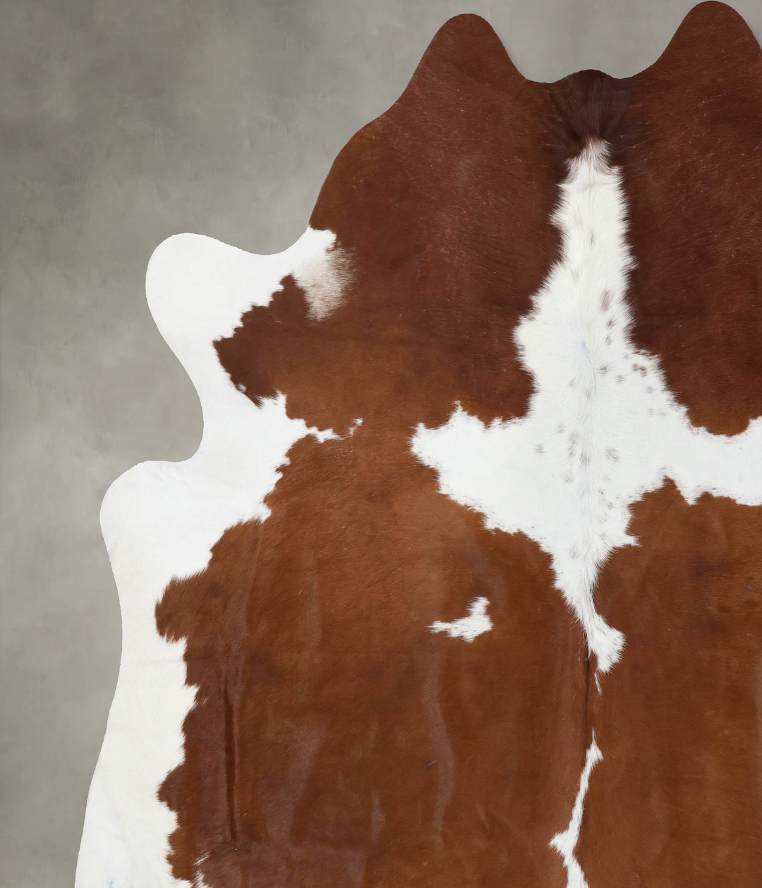 Brown and White XX-Large Brazilian Cowhide Rug 8'9"H x 8'0"W #B18684 b