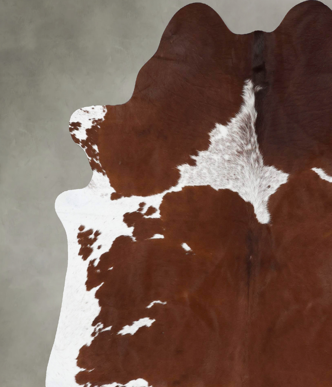 Brown and White X-Large Brazilian Cowhide Rug 7'8"H x 6'5"W #B18685 by
