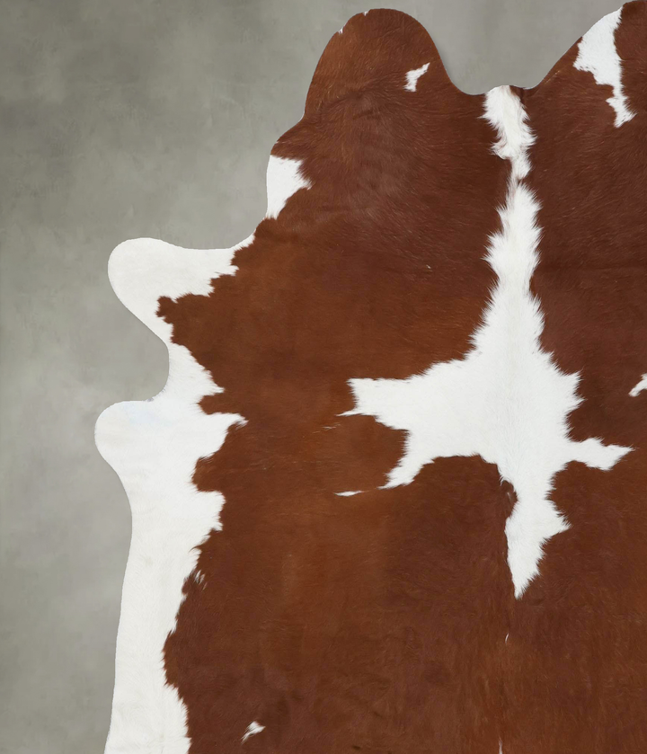 Brown and White XX-Large Brazilian Cowhide Rug 7'10"H x 6'9"W #B18686 by Hudson Hides