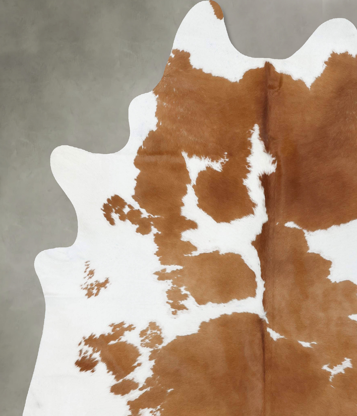 Brown and White XX-Large Brazilian Cowhide Rug 8'3"H x 6'11"W #B18690 by Hudson Hides