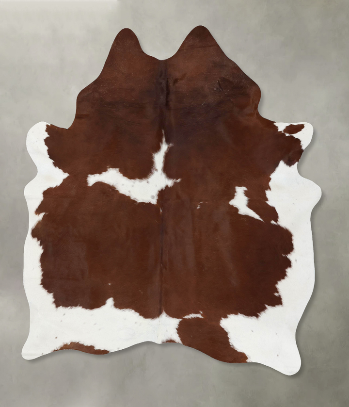 Brown and White X-Large Brazilian Cowhide Rug 7'9"H x 5'10"W #B18695 by Hudson Hides