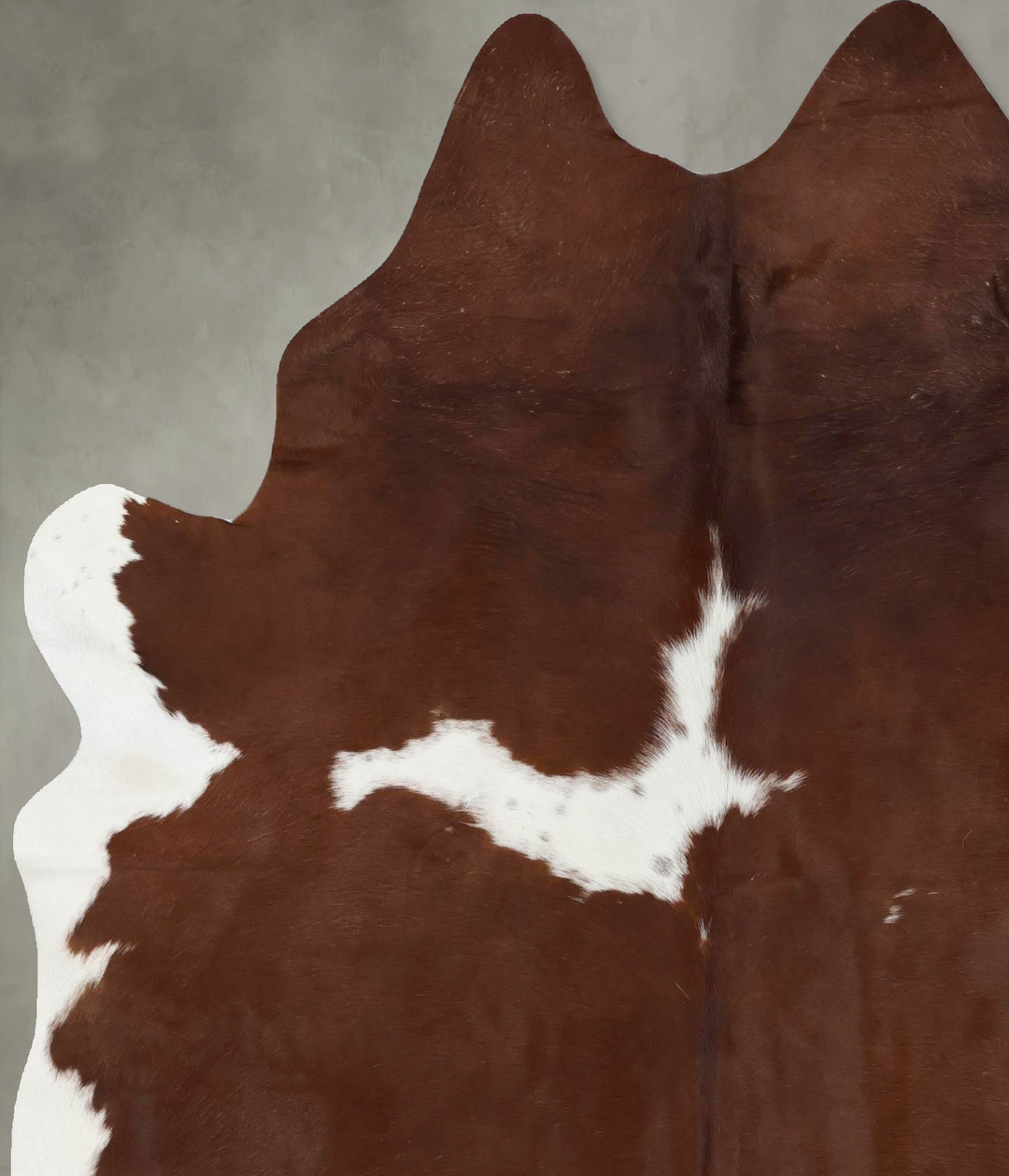 Brown and White X-Large Brazilian Cowhide Rug 7'9"H x 5'10"W #B18695 b