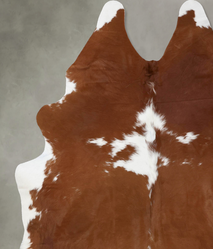 Brown and White XX-Large Brazilian Cowhide Rug 8'6"H x 6'6"W #B18699 by Hudson Hides