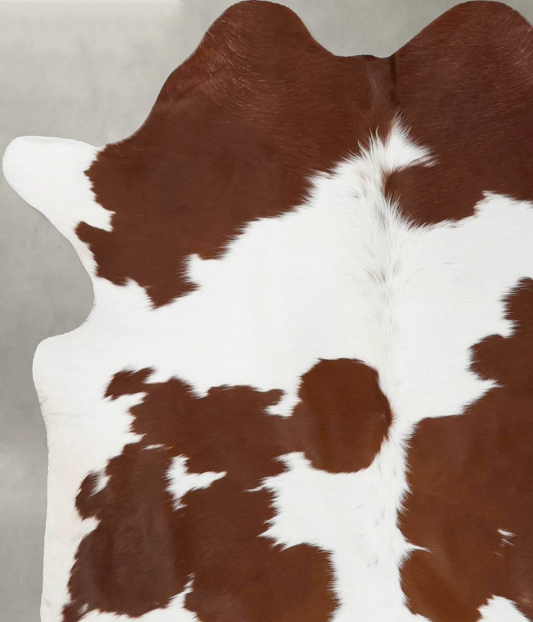Brown and White Large Brazilian Cowhide Rug 6'8"H x 5'8"W #B18708 by H