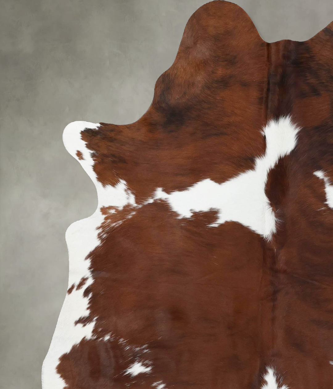 Brown and White Large Brazilian Cowhide Rug 6'11"H x 5'3"W #B18714 by