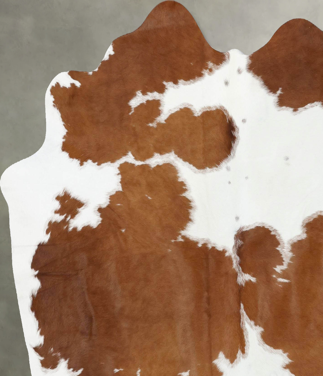 Brown and White Large Brazilian Cowhide Rug 6'6"H x 5'7"W #B18719 by H