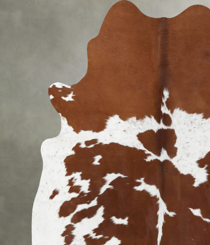 Brown and White X-Large Brazilian Cowhide Rug 6'11"H x 6'2"W #B18721 by Hudson Hides