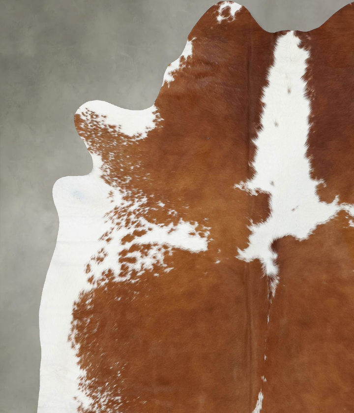 Brown and White XX-Large Brazilian Cowhide Rug 8'2"H x 6'6"W #B18724 by Hudson Hides