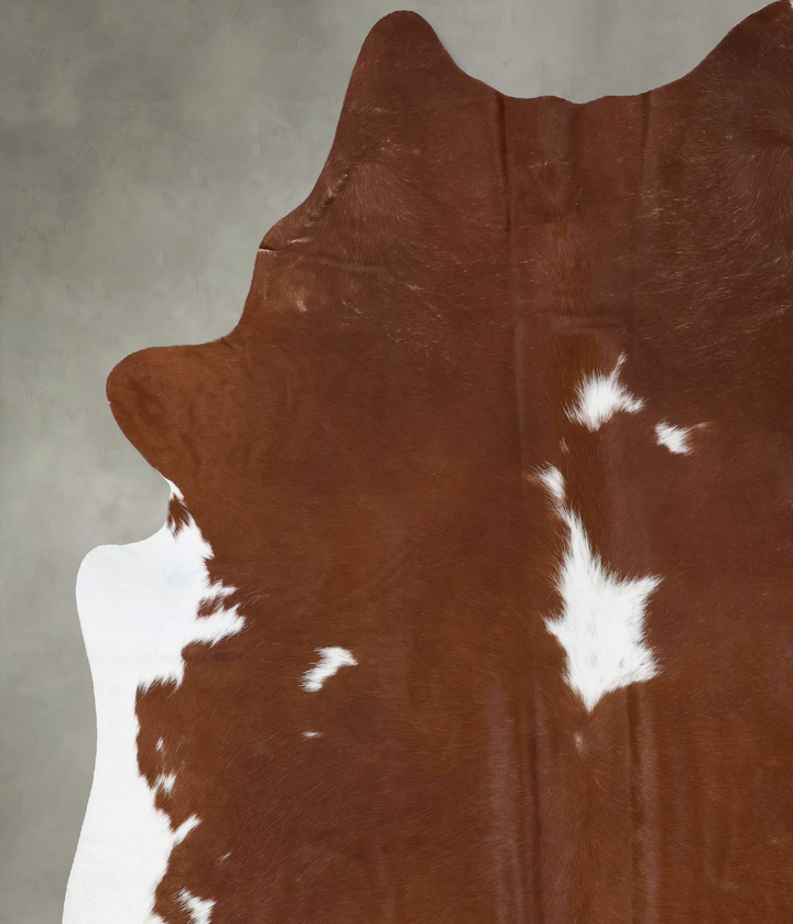 Brown and White XX-Large Brazilian Cowhide Rug 8'1"H x 7'1"W #B18735 by Hudson Hides