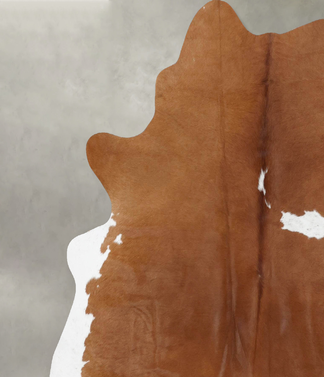 Brown and White X-Large Brazilian Cowhide Rug 6'11"H x 6'0"W #B18739 b