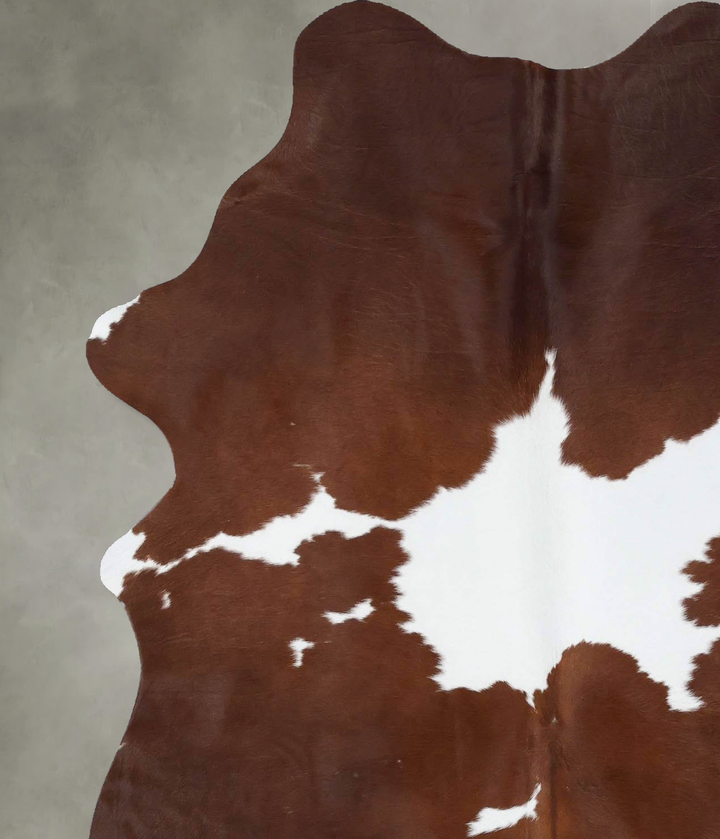 Brown and White Large Brazilian Cowhide Rug 6'5"H x 5'0"W #B18740 by Hudson Hides
