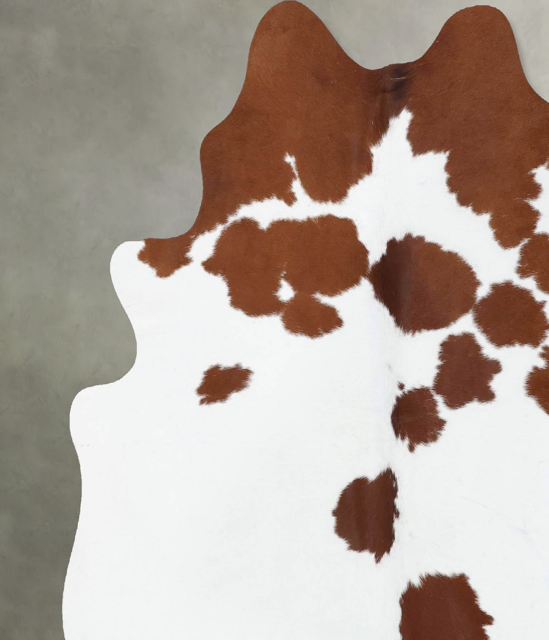 Brown and White Large Brazilian Cowhide Rug 6'6"H x 6'1"W #B18741 by H