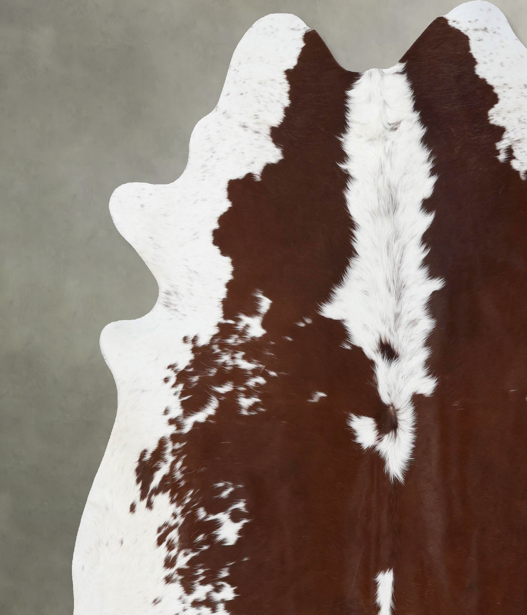 Brown and White XX-Large Brazilian Cowhide Rug 7'9"H x 7'2"W #B18745 b