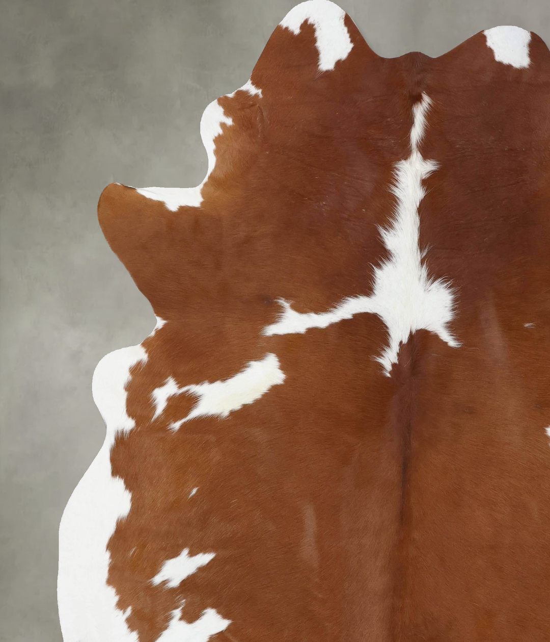 Brown and White XX-Large Brazilian Cowhide Rug 8'1"H x 6'5"W #B18753 b