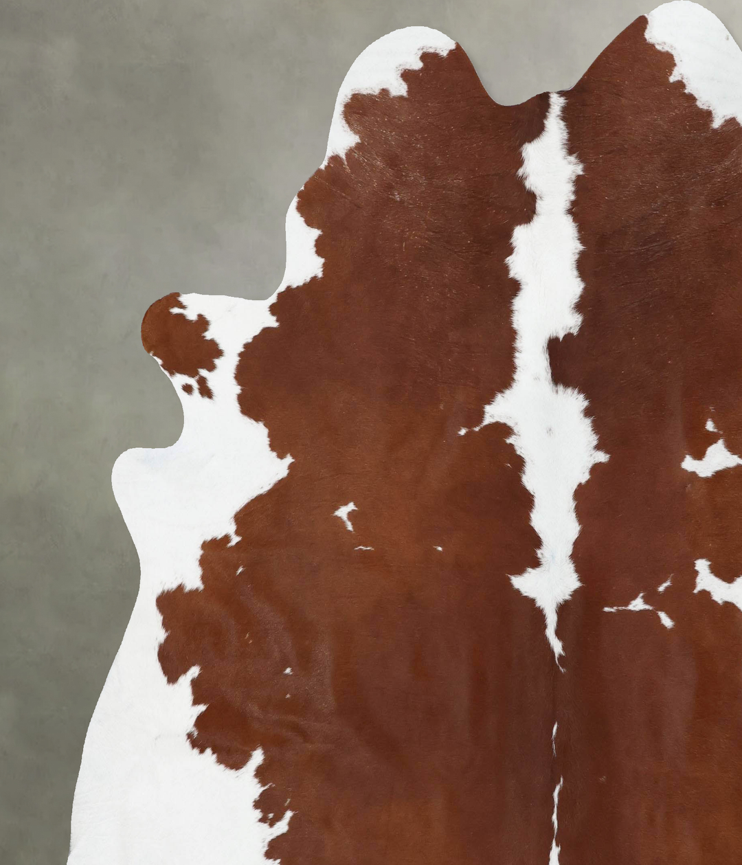 Brown and White XX-Large Brazilian Cowhide Rug 7'8"H x 7'2"W #B18754 b