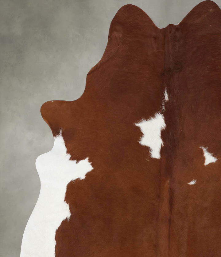 Brown and White X-Large Brazilian Cowhide Rug 7'1"H x 6'6"W #B18758 by Hudson Hides