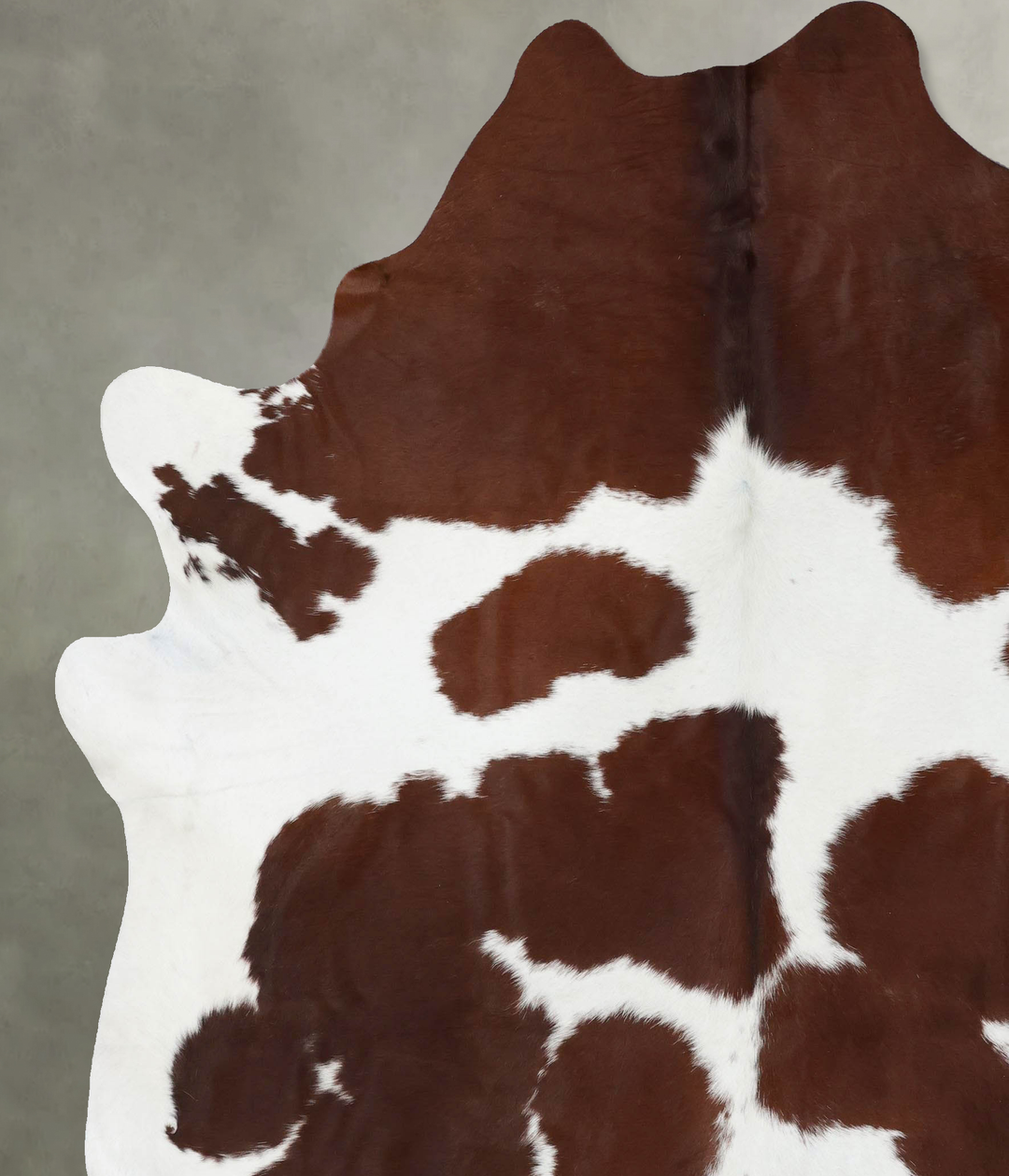 Brown and White XX-Large Brazilian Cowhide Rug 8'3"H x 6'11"W #B18791