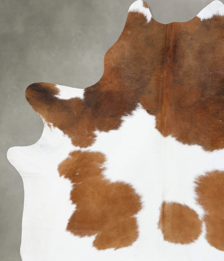 Brown and White XX-Large Brazilian Cowhide Rug 8'7"H x 7'2"W #B18801 by Hudson Hides
