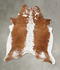 Brown and White Regular XX-Large Brazilian Cowhide Rug 8'4
