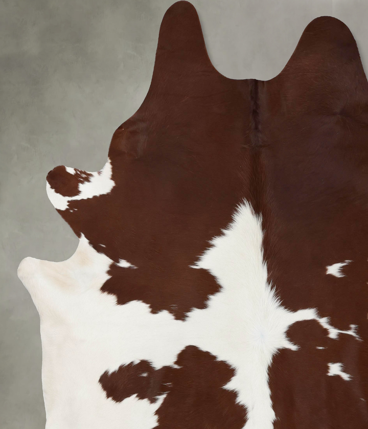 Brown and White XX-Large Brazilian Cowhide Rug 8'7"H x 7'5"W #B18820 by Hudson Hides