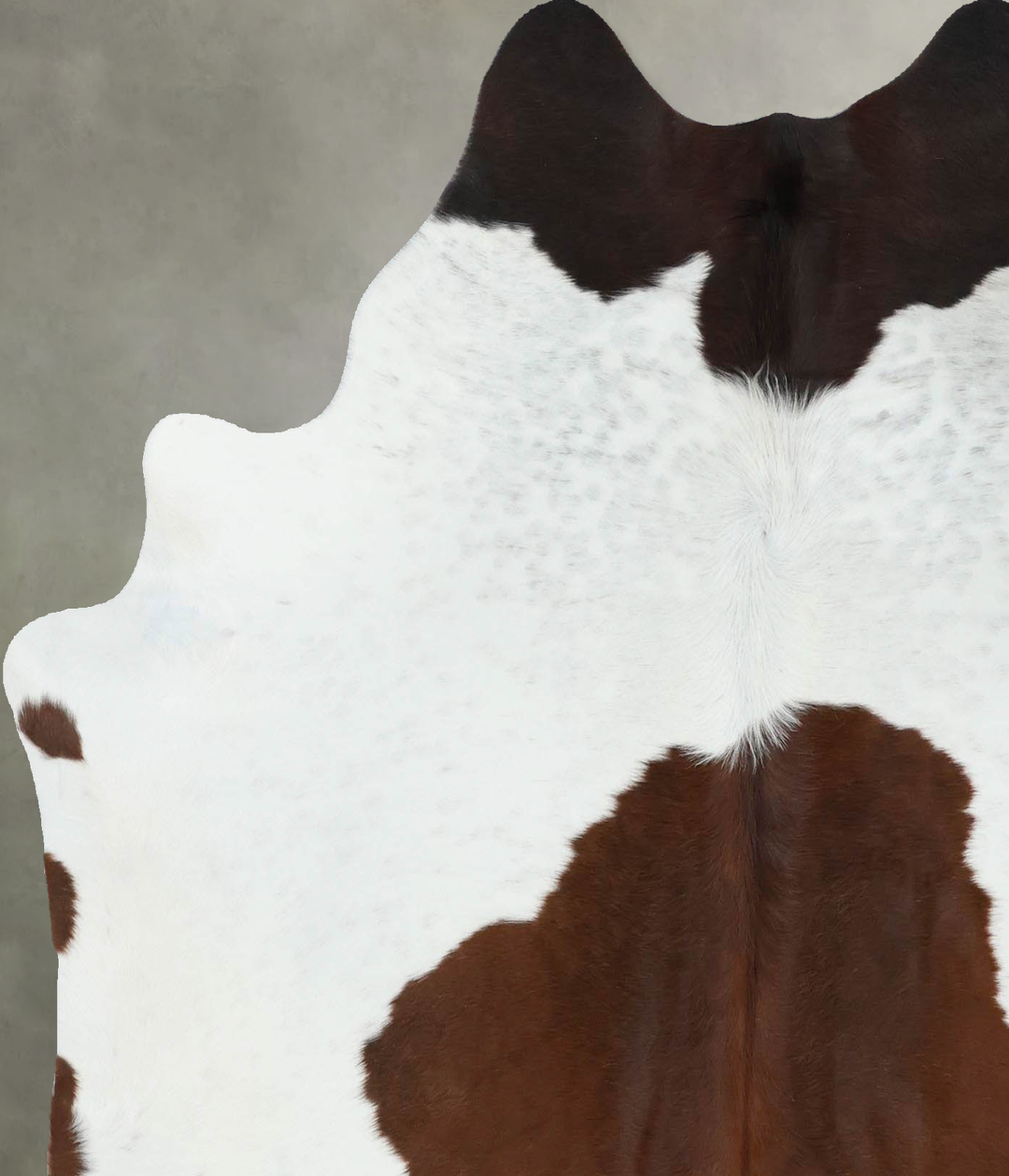 Brown and White Large Brazilian Cowhide Rug 6'1"H x 5'6"W #B18872 by H