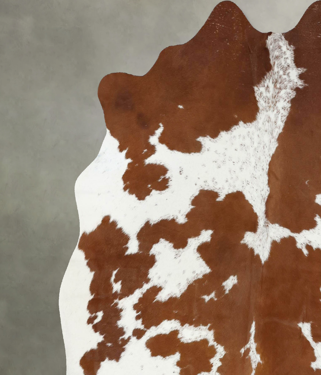 Brown and White Large Brazilian Cowhide Rug 6'2"H x 6'0"W #B18884 by H