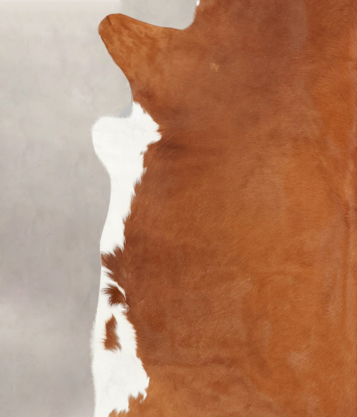 Brown and White Regular X-Large Brazilian Cowhide Rug 6'10"H x 6'11"W #B1904 by Hudson Hides