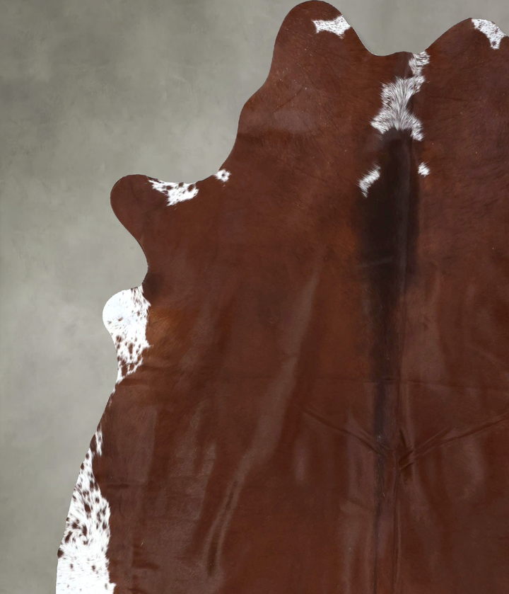 Brown and White Regular XX-Large Brazilian Cowhide Rug 7'6"H x 6'9"W #B19375 by Hudson Hides