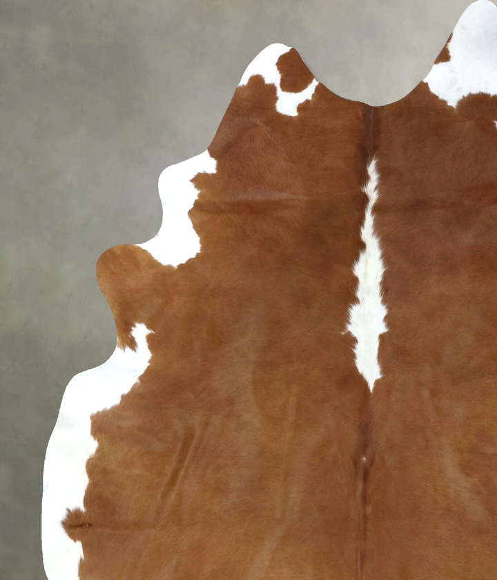 Brown and White Regular XX-Large Brazilian Cowhide Rug 8'3"H x 6'4"W #B19472 by Hudson Hides