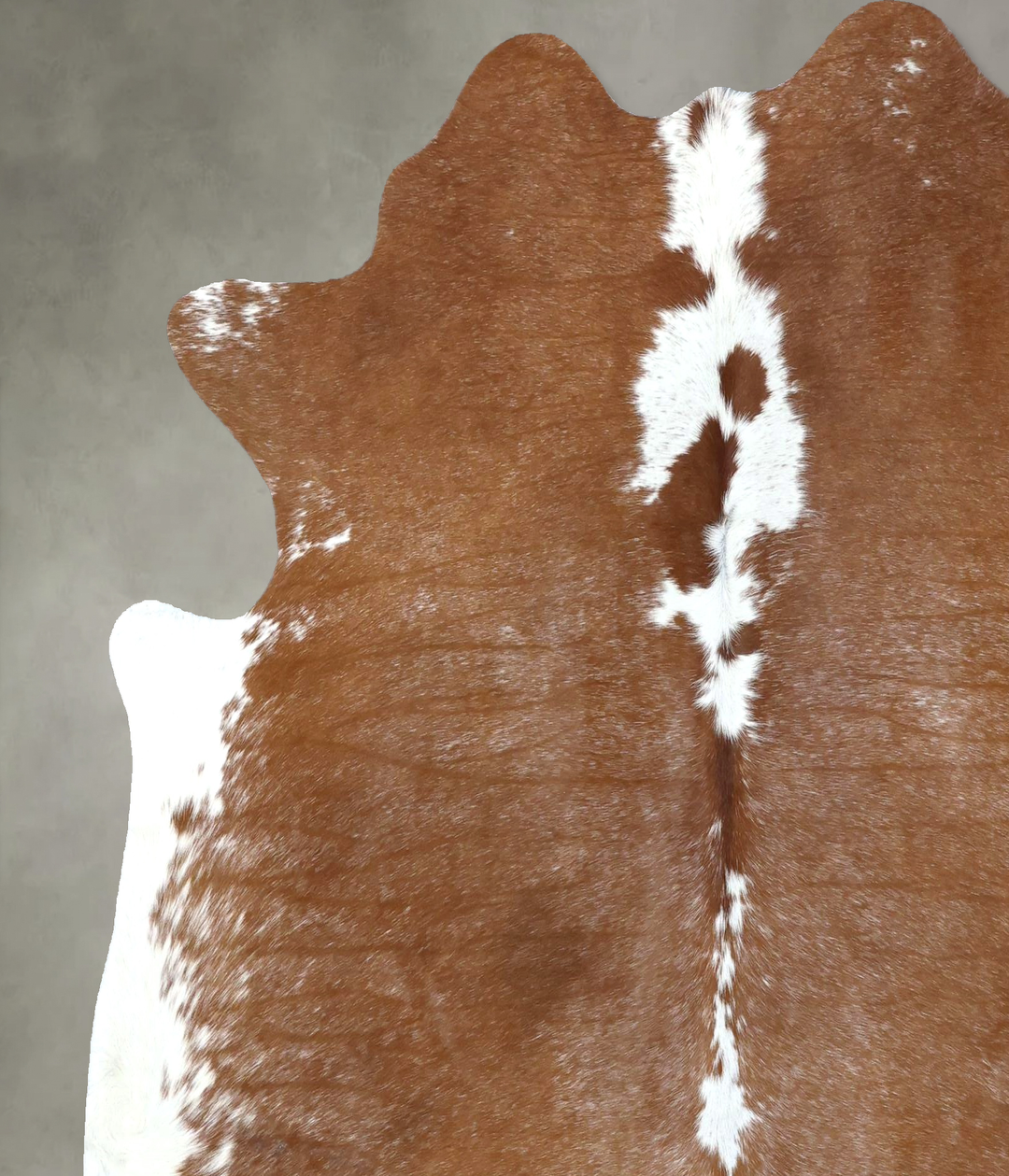 Brown and White Regular X-Large Brazilian Cowhide Rug 6'8"H x 6'4"W #B
