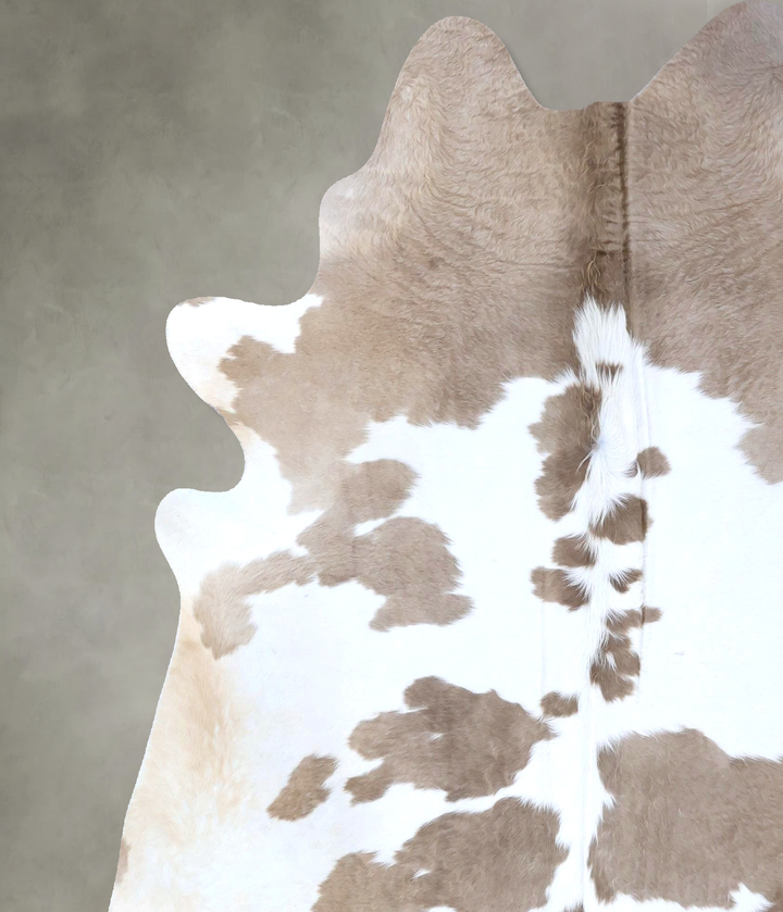 Brown and White Regular X-Large Brazilian Cowhide Rug 7'6"H x 6'7"W #B19809 by Hudson Hides