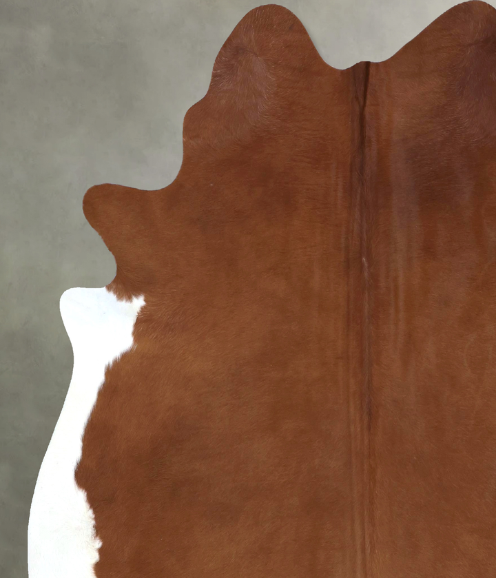 Brown and White Regular XX-Large Brazilian Cowhide Rug 7'11"H x 6'11"W #B19819 by Hudson Hides