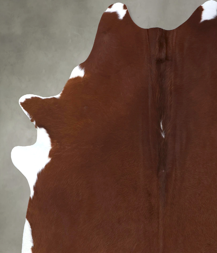 Brown and White Regular XX-Large Brazilian Cowhide Rug 8'0"H x 6'5"W #B19825 by Hudson Hides