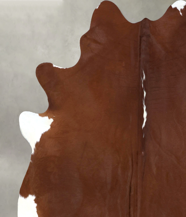Brown and White Regular X-Large Brazilian Cowhide Rug 7'6"H x 6'6"W #B19845 by Hudson Hides