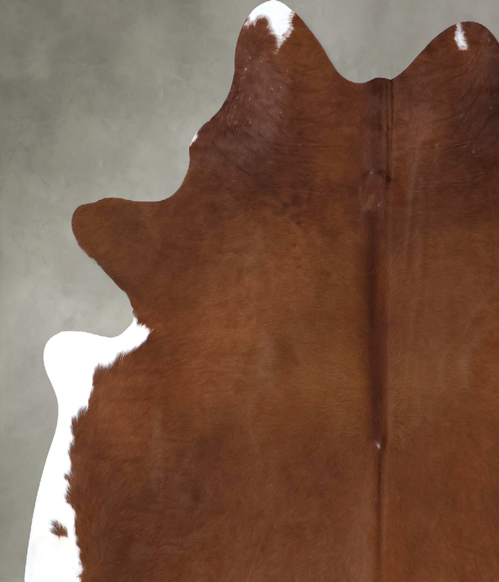 Brown and White Regular XX-Large Brazilian Cowhide Rug 8'4"H x 6'9"W #B19886 by Hudson Hides