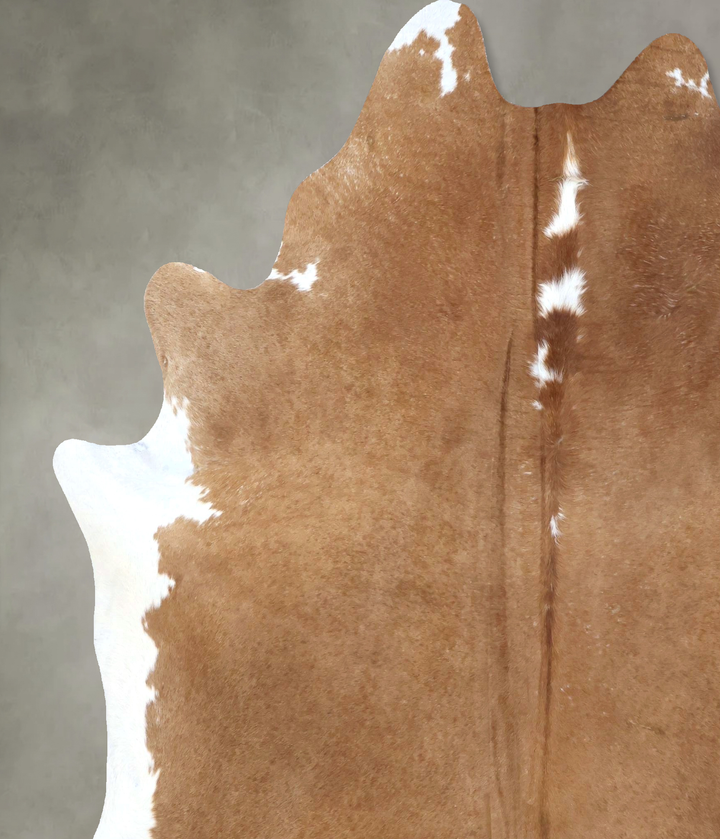 Brown and White Regular XX-Large Brazilian Cowhide Rug 8'2"H x 6'10"W #B19909 by Hudson Hides