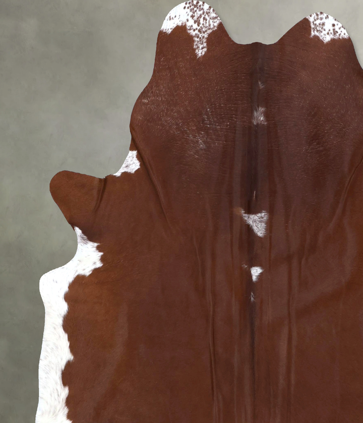 Brown and White Regular XX-Large Brazilian Cowhide Rug 7'11"H x 6'11"W #B19914 by Hudson Hides