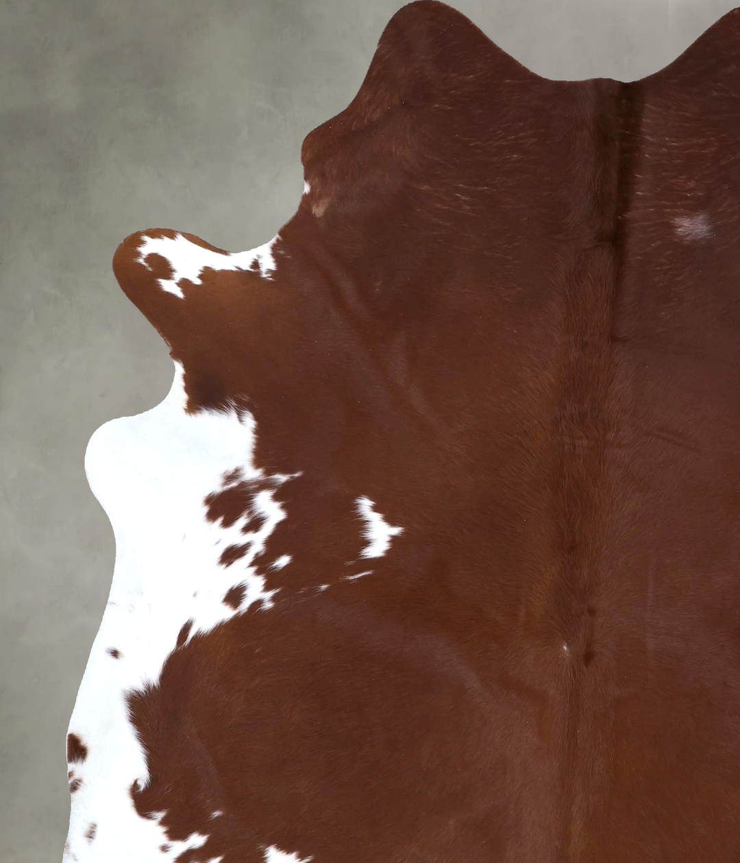 Brown and White Regular XX-Large Brazilian Cowhide Rug 8'0"H x 6'8"W #